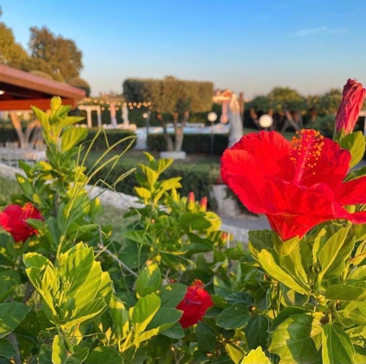 Villalessandra Bed & Breakfast
